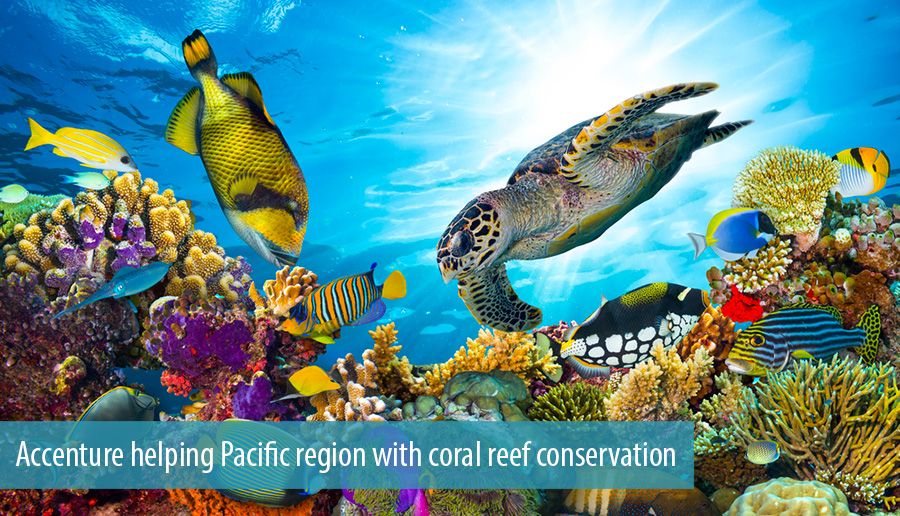 Accenture helping Pacific region with coral reef conservation