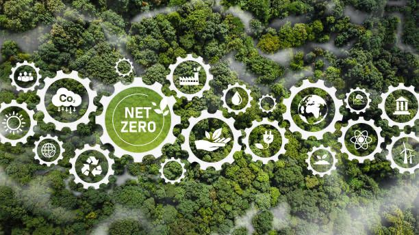 How a Specialist Hire Advanced Net-Zero Goals & Sustainability