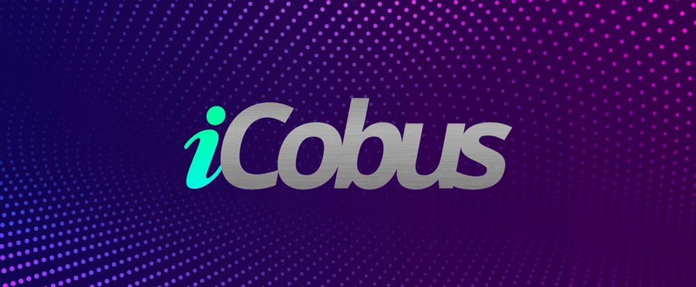iCobus’s Expertise in Navigating Tax Laws