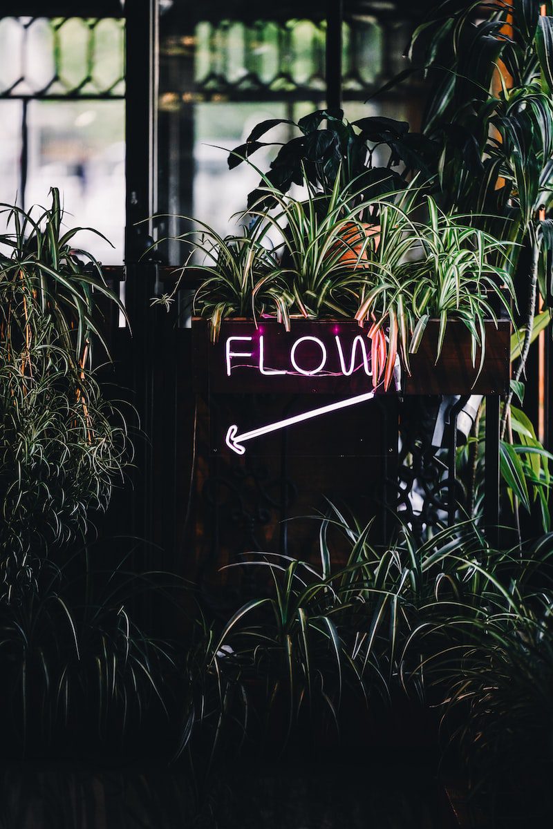 What Influences Developer Flow?