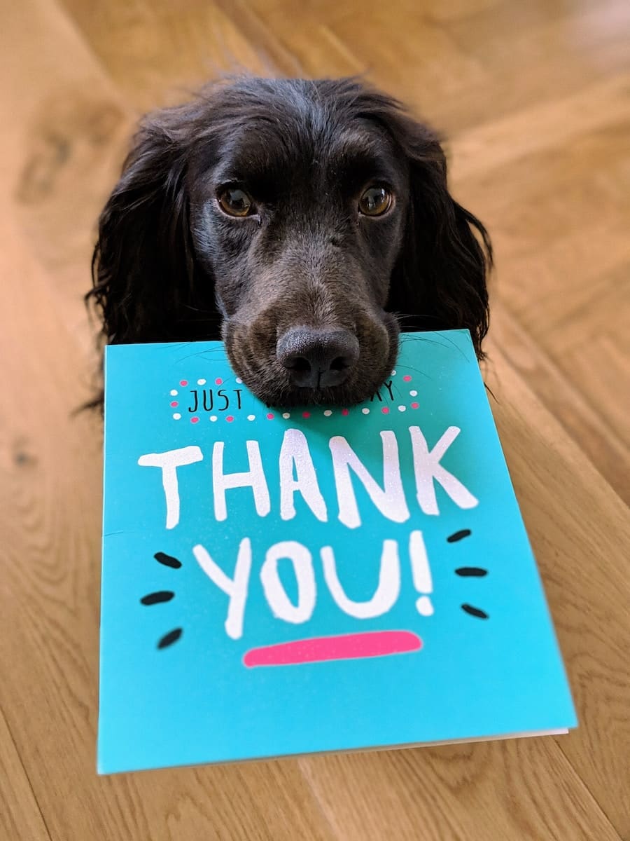 ​Are you sure your employees feel appreciated in the workplace?