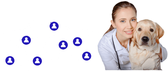 veterinary nursing jobs abroad