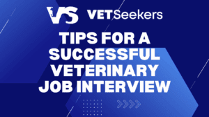Veterinary Interview Tips 