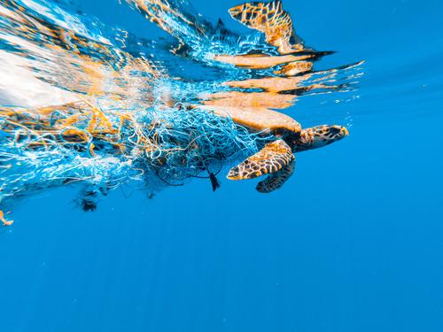 Beach bots, sea ‘raptors’ and marine toolsets mobilised to get rid of marine litter